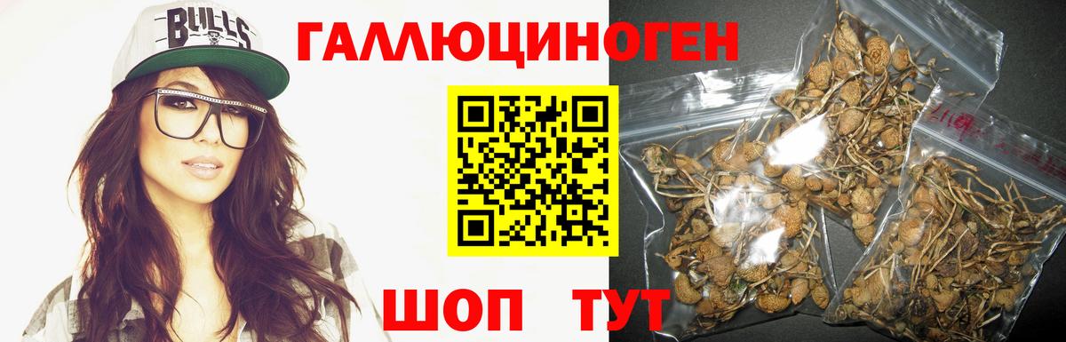 Псилоцибиновые грибы MAGIC MUSHROOMS  Вход с VPN  даркнет сайт  Тулун 